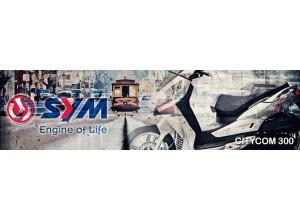 SYM Citycom 300 vendita on line accessori