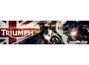 Triumph Daytona 675R vendita on line accessori