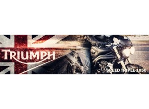 Triumph Speed Triple 1050 vendita on line accessori