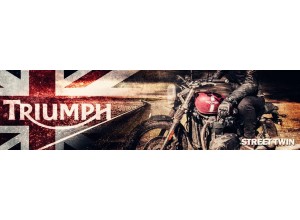 Triumph Street Twin vendita on line accessori