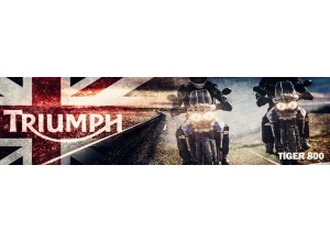 Triumph Tiger 800 vendita on line accessori