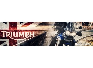 Triumph Tiger 800 XR vendita on line accessori