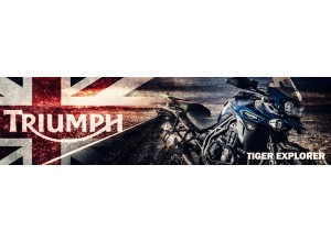 Triumph Tiger Explorer vendita on line accessori