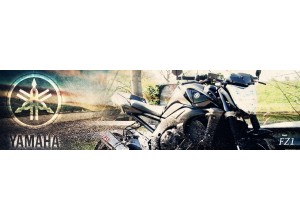 Yamaha FZ1 vendita on line accessori