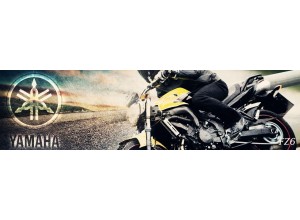 Yamaha FZ6 vendita on line accessori