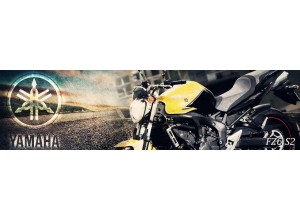 Yamaha FZ6 S2 vendita on line accessori