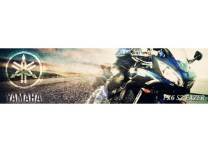 Yamaha FZ6 S2 Fazer vendita on line accessori