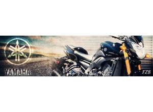 Yamaha FZ8 vendita on line accessori