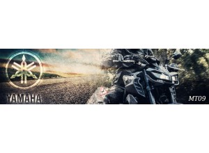 Yamaha MT 09 vendita on line accessori