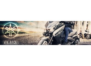 Yamaha X-Max 125 vendita on line accessori