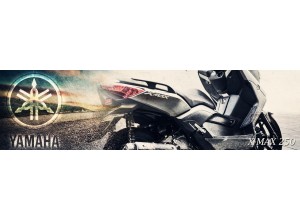 Yamaha X-Max 250 vendita on line accessori