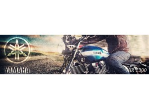 Yamaha XJR 1300 vendita on line accessori