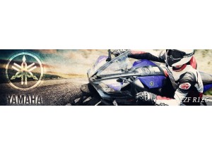 Yamaha YZF R 125 vendita on line accessori