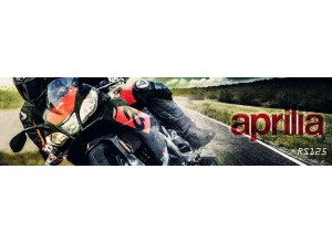 Aprilia RS 125 vendita on line accessori