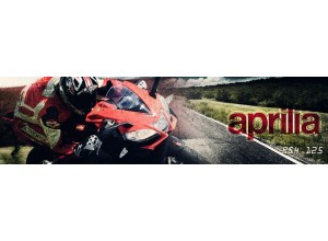 Aprilia RS4 125 vendita on line accessori