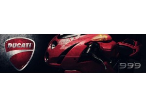 Ducati 999 vendita on line accessori