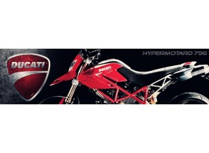 Ducati Hypermotard 796 vendita on line accessori