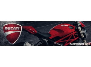 Ducati Monster 1100 vendita on line accessori