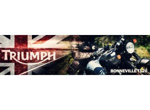 Triumph Bonneville T120 vendita on line accessori