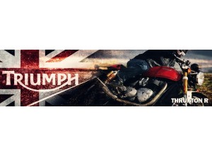 Triumph Thruxton R vendita on line accessori