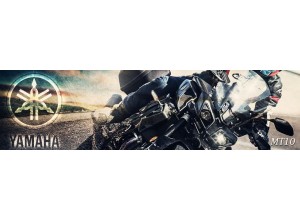 Yamaha MT 10 vendita on line accessori