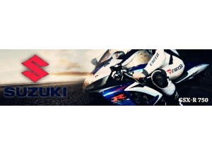 Suzuki GSX-R 750 vendita on line accessori