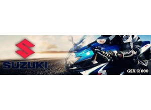 Suzuki GSX-R 600 vendita on line accessori