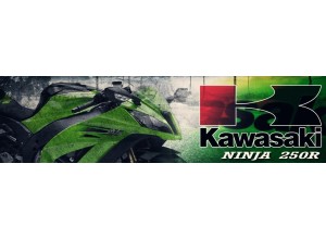 Kawasaki Ninja 250R vendita on line accessori