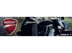 Vendita online accessori per Ducati XDiavel S