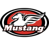 Mustang Seats