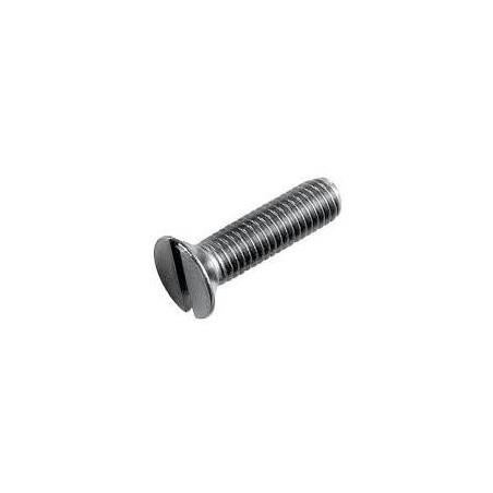 Vite acciaio inox testa svasata M 3x14 mm